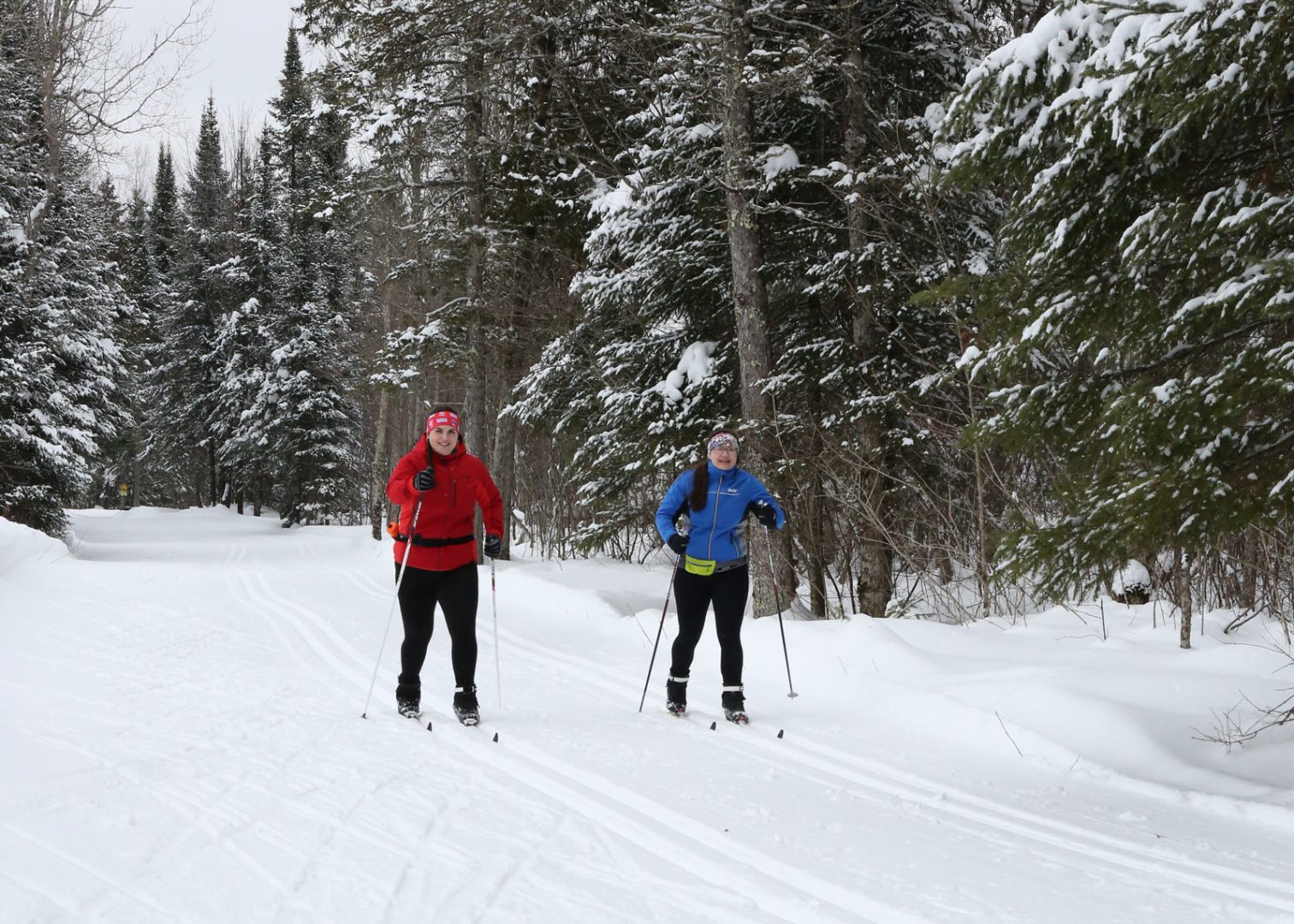 Cross country skiing through woods