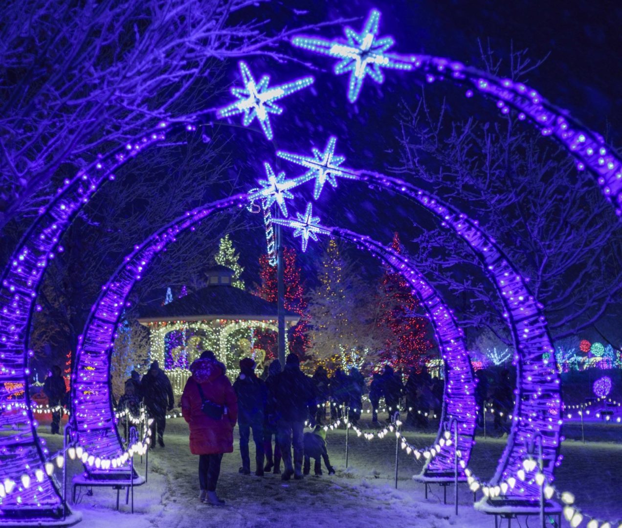 Family enjoying lights at the Christmas Wonderland